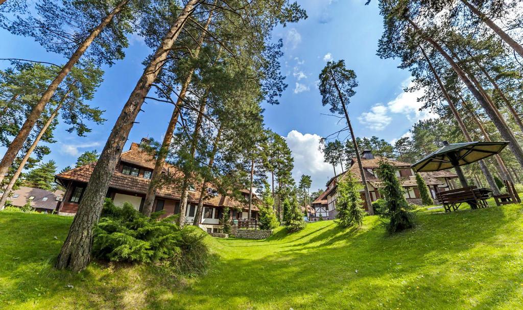 Ferienwohnung Kraljevi Konaci - Najam Kuca Na Zlatiboru Exterior foto