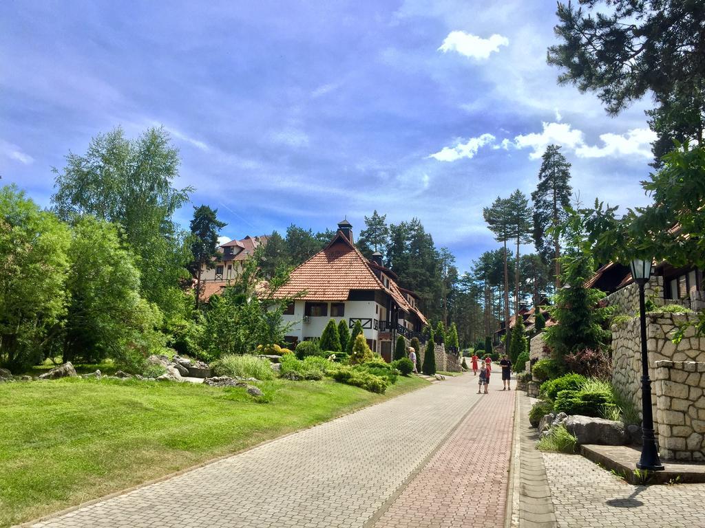 Ferienwohnung Kraljevi Konaci - Najam Kuca Na Zlatiboru Exterior foto