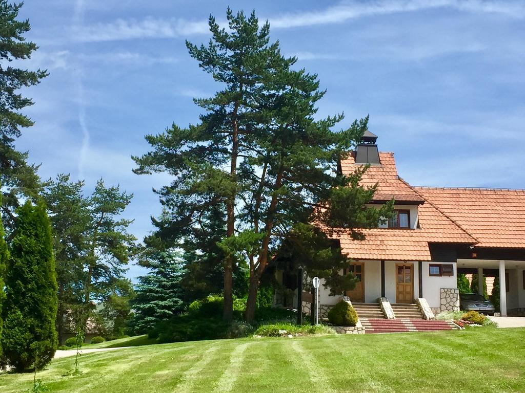 Ferienwohnung Kraljevi Konaci - Najam Kuca Na Zlatiboru Exterior foto