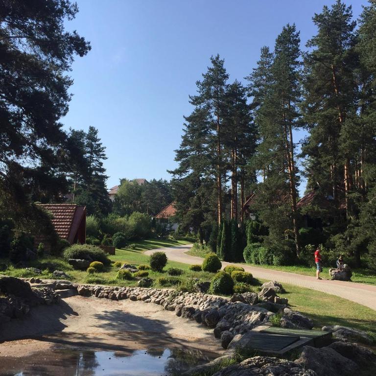 Ferienwohnung Kraljevi Konaci - Najam Kuca Na Zlatiboru Exterior foto
